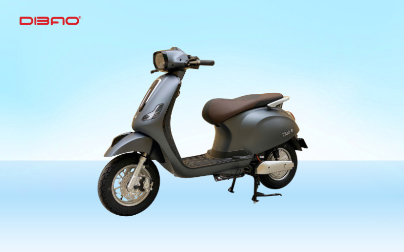 Xe điện màu xám Dibao Tesla E